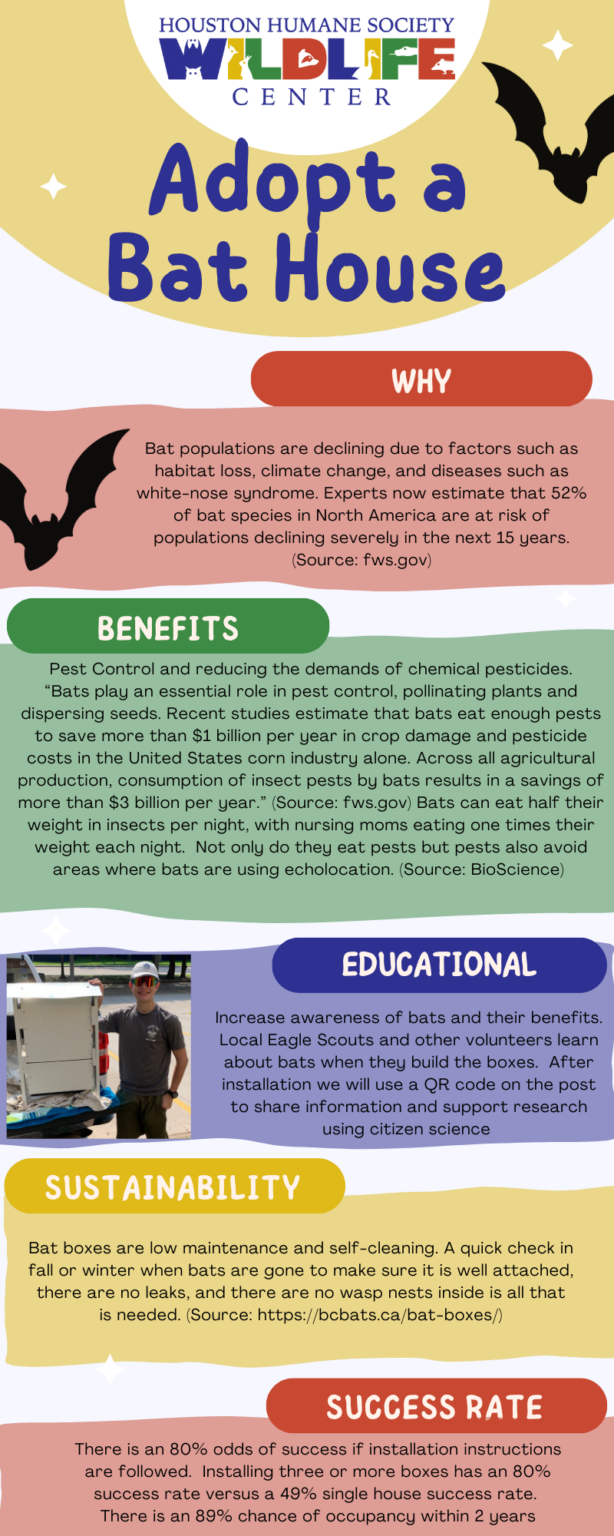 Bat House Infographic